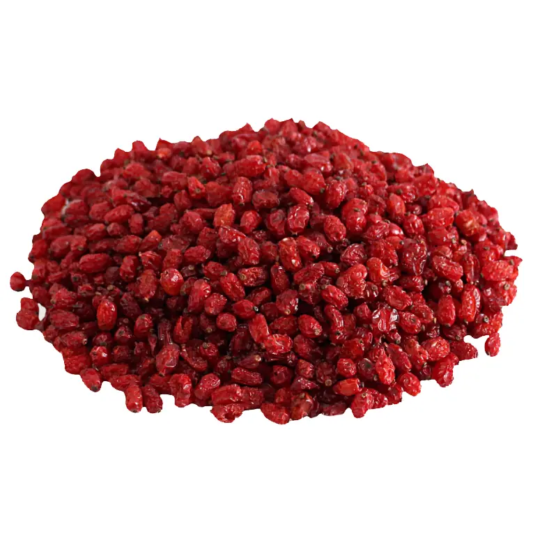 Iranian food supplier premium Persian barberries